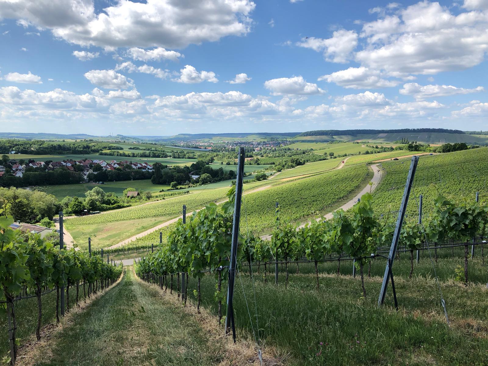Paradiesberg.de